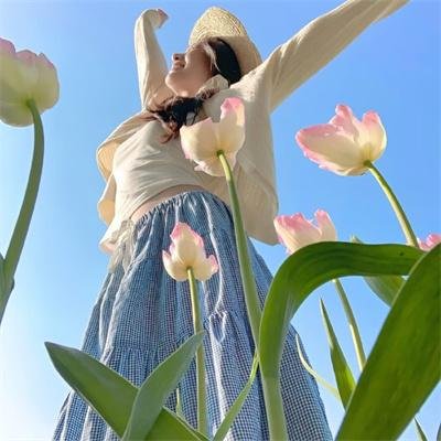 汉城彩虹 在线观看封面